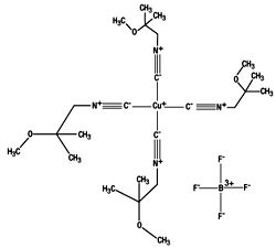 Kit for the Preparation of Technetium Tc99m Sestamibi